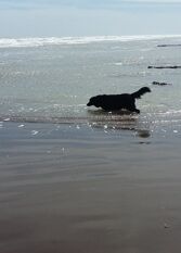 Foto 2 de la galería de Casa Agustina en Monte Hermoso