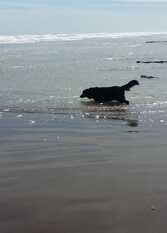 Foto 2 de la galería de Casa Agustina en Monte Hermoso