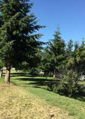 Foto 2 de la galería de CHARRET en Trevelin