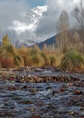 Foto 2 de la galería de Las Golondrinas Complejo de Cabañas en Potrerillos