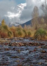 Foto 2 de la galería de Las Golondrinas Complejo de Cabañas en Potrerillos