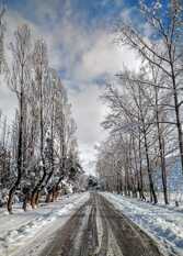 Foto 4 de Las Golondrinas Complejo de Cabañas en Potrerillos