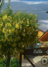 Foto 3 de la galería de Villa Casal en San Carlos De Bariloche