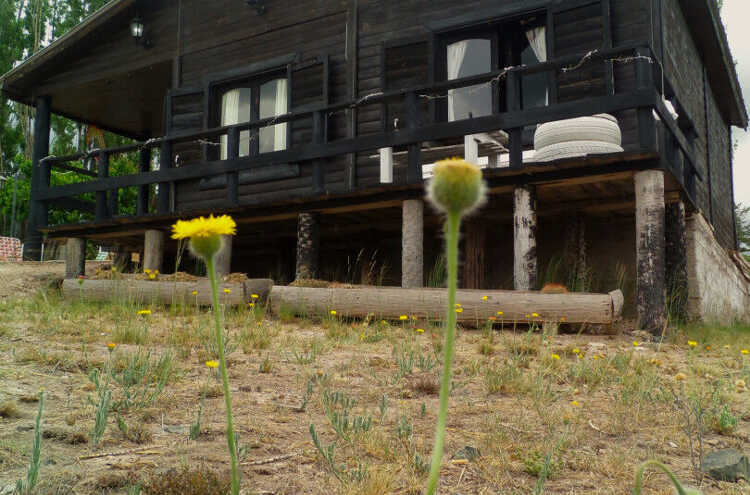 Foto principal de Hospedaje Terra Nostra en Poterillos