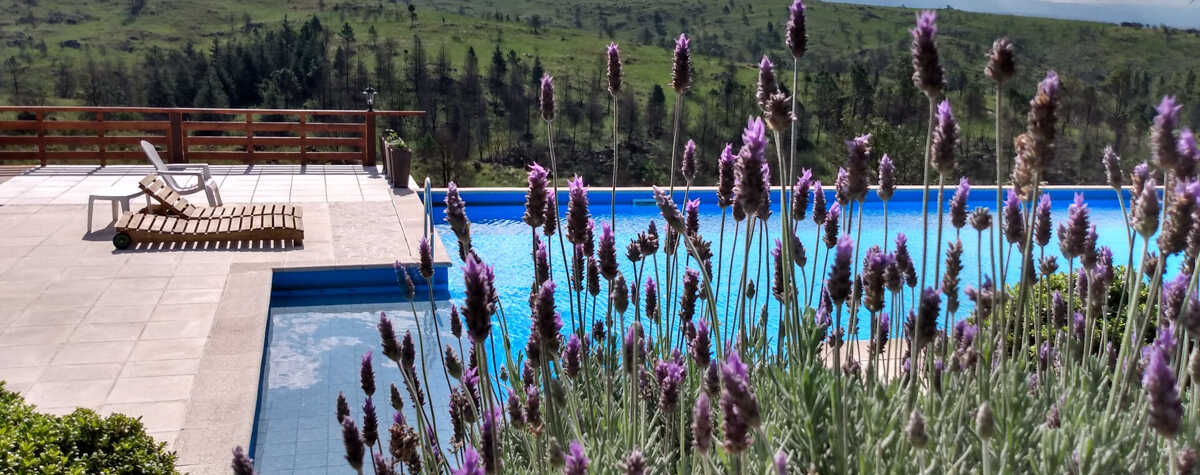 Foto principal de Aires de la Colina en La Cumbrecita