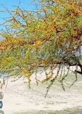 Foto 2 de la galería de Madrenatura en Mina Clavero