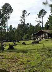 Foto 2 de la galería de Cabañas Altos Del Durazno en El Durazno