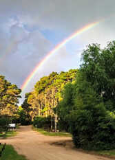 Foto 2 de la galería de Cabañas Mapun en Mar Azul