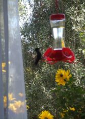 Foto 2 de la galería de Colibri House en San Martín De Los Andes