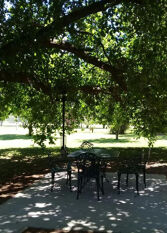 Foto 2 de la galería de Casa de Campo AntoJos en Ramallo