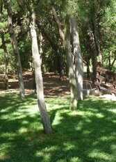 Foto 2 de la galería de Complejo de Cabañas Merlion en Mar De Las Pampas