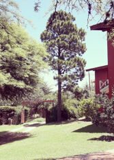 Foto 2 de la galería de Cabañas Las Pircas en Villa General Belgrano