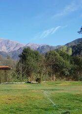 Foto 2 de la galería de Casaquintas Nogaleñas en Yala