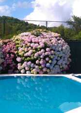 Foto 3 de la galería de Casaquintas Nogaleñas en Yala