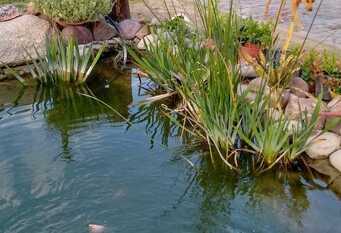 Foto 1 de la galería de Departamentos Mantram Armonía en Chacras de Coria