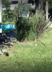 Foto 3 de la galería de Del Valle Paraná Complejo de Cabañas en Parana