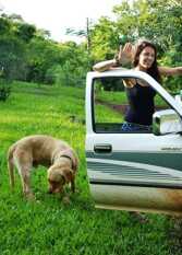 Foto 2 de la galería de Cabaña Coati Lodge en El Soberbio