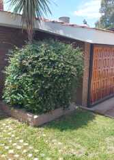 Foto 3 de la galería de Aire Serrano en Alta Gracia