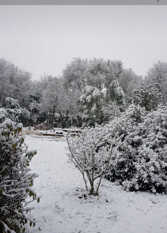 Foto 3 de la galería de La Soñada Campiña de Montaña en Villa General Belgrano