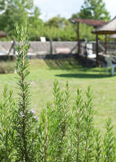Foto 4 de Cabañas Mi Terruño en Los Reartes