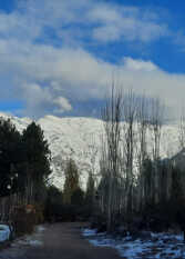 Foto 4 de Cabañas Berta y Jorge, Restaurante en Blanco Encalada