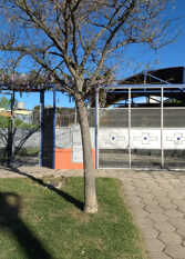Foto 4 de Antumú Departamentos en Santa Rosa