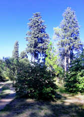 Foto 3 de la galería de Casa de campo en Villa Ciudad Parque