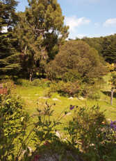 Foto 3 de la galería de Casa Los Guindos en La Cumbre