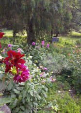 Foto 2 de la galería de Casa Los Guindos en La Cumbre