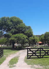 Foto 2 de la galería de La Morada Complejo de Cabañas en Nono