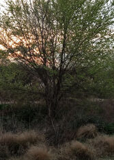Foto 3 de la galería de Cabaña Aymana, balcón al río en Nono