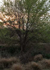 Foto 3 de la galería de Cabaña Aymana, balcón al río en Nono
