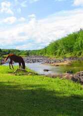 Foto 3 de la galería de Cabañas Cultura Serrana en Santa Rosa De Calamuchita