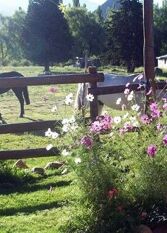 Foto 3 de la galería de Cabañas Tierra de Montañas en Tunuyan