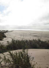 Foto 2 de Departamentos Las Brisas del Tuyu en San Clemente Del Tuyú