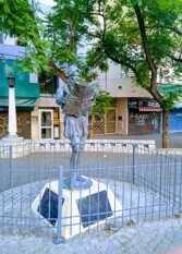 Foto 3 de Calicanto en Ciudad De Córdoba