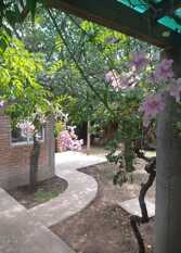 Foto 3 de la galería de Cabañas Matilda en Los Molles