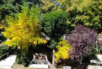 Foto 1 de la galería de Villa Alinor Complejo de Cabañas en El Trapiche