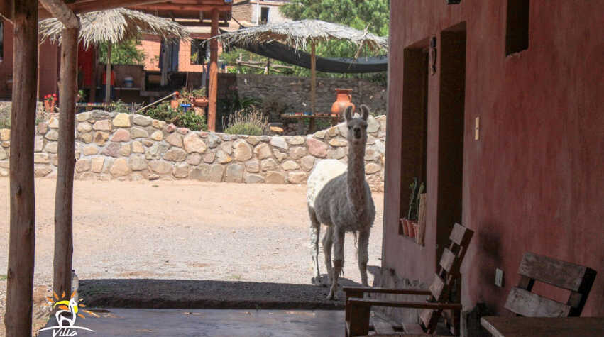 Foto principal de Villa La Tasca Complejo de Cabañas en Maimara