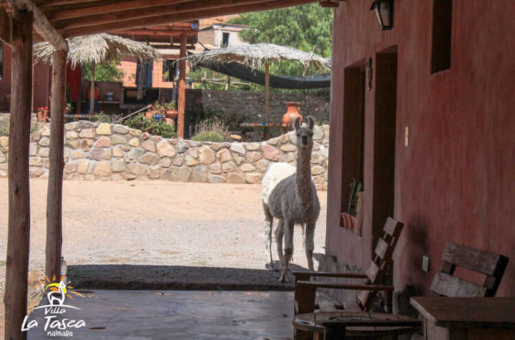 Foto principal de Villa La Tasca Complejo de Cabañas en Maimara