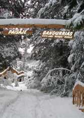 Foto 2 de Paisaje Bandurrias Complejo de Cabañas en Villa La Angostura