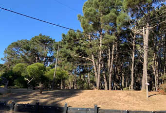 Foto 1 de la galería de Alma Sureña en Mar Azul