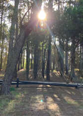 Foto 3 de la galería de Alma Sureña en Mar Azul