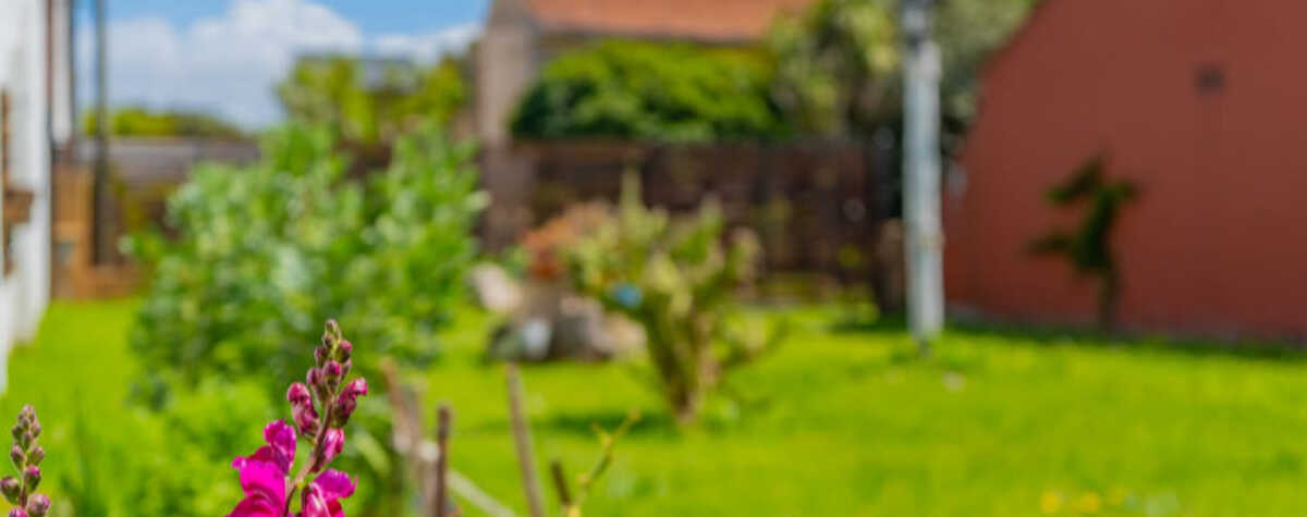 Foto principal de Casita con Parque a 2 cuadras de la Playa en Mar Del Plata