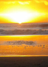 Foto 2 de la galería de Cabañas Mar Chiquita Mas! en Mar Chiquita