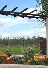 Foto 3 de la galería de Terra Nostra Complejo de Cabañas y Habitaciones en General Alvear