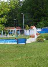 Foto 2 de la galería de Cabañas Los Troncos en Concordia