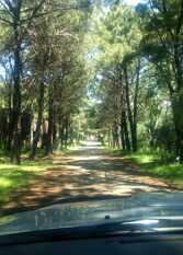 Foto 2 de la galería de La Casa de Monte Hermoso en Monte Hermoso