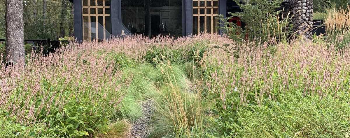 Foto principal de Casa de diseño en bosque increible en San Martín De Los Andes