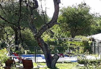 Foto 1 de la galería de Casas de Campo Rumi Bola en Nono